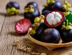 Manfaat Buah Manggis untuk Kesehatan Tubuh