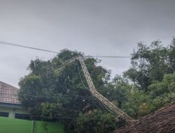 Angin Puting Beliung Terjang Cirebon. 40 Rumah dan Satu Masjid Rusak