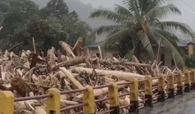 Kayu Glondongan di Banjir Tapanuli Picu Sorotan Kerusakan Hutan di Sumatra