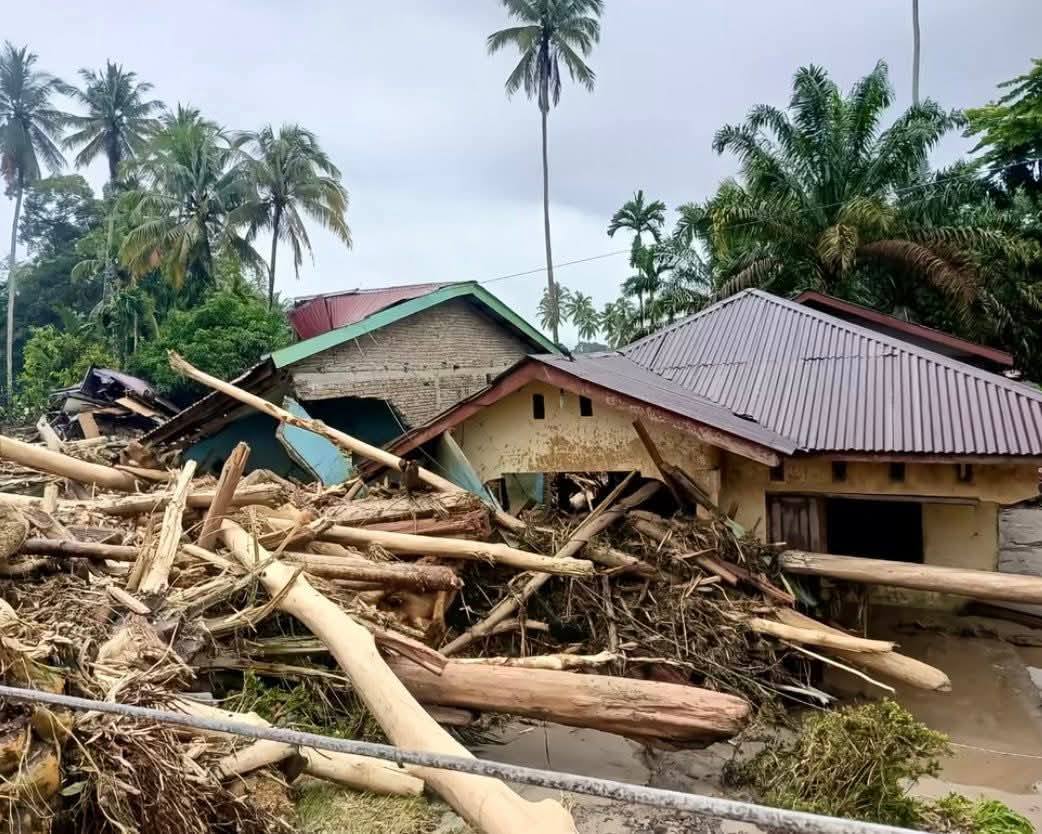 Kemenhut Izinkan Pemanfaatan Kayu Glondongan Sisa Banjir untuk Rehabilitasi Pascabencana
