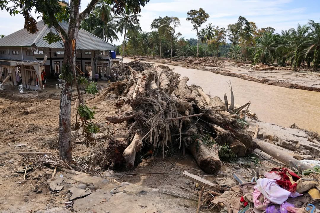 Presiden Prabowo Janji Tertibkan Pembalakan Liar Penyebab Banjir di Sumatera