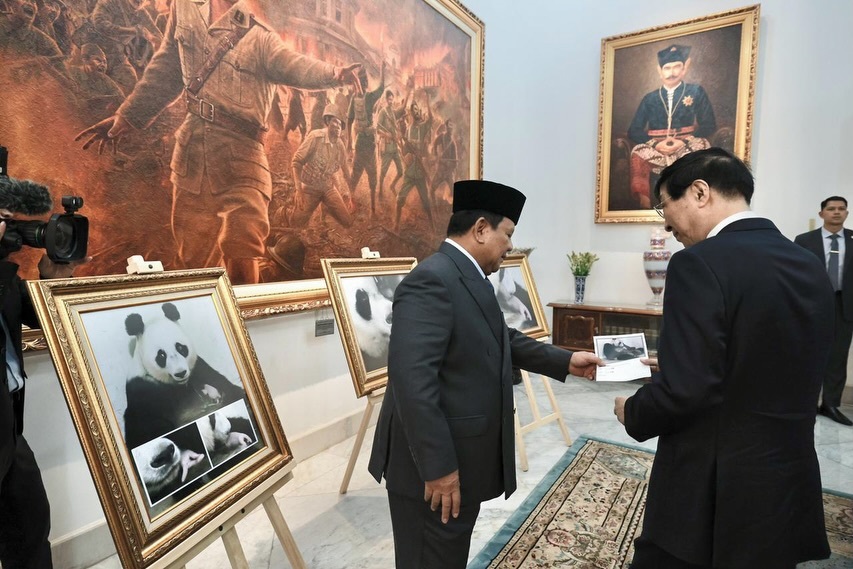 Prabowo Terima Wang Huning dan Perlihatkan Kelahiran Bayi Panda Satrio Wiratama