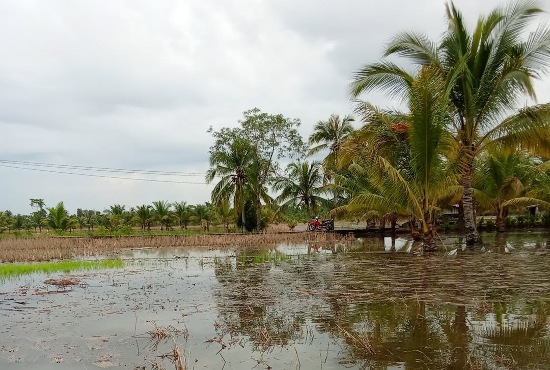 Presiden Prabowo Janjikan Hapus KUR Petani Korban Banjir di Sumatera
