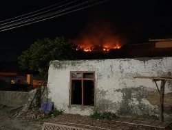 Kebakaran Hutan Terlihat di Sindangbarang Karangpucung Minggu Malam